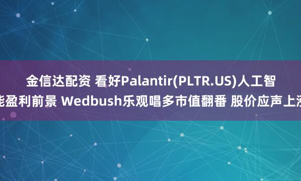 金信达配资 看好Palantir(PLTR.US)人工智能盈利前景 Wedbush乐观唱多市值翻番 股价应声上涨