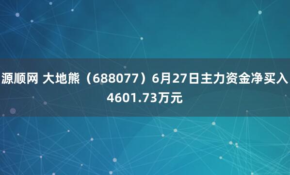 源顺网 大地熊（688077）6月27日主力资金净买入4601.73万元