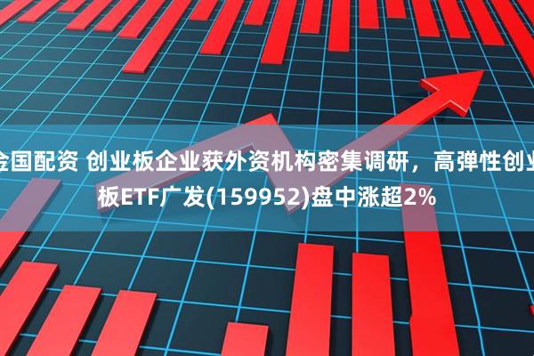 金国配资 创业板企业获外资机构密集调研，高弹性创业板ETF广发(159952)盘中涨超2%
