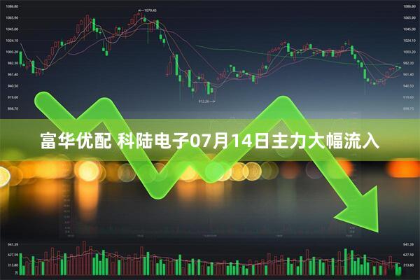 富华优配 科陆电子07月14日主力大幅流入